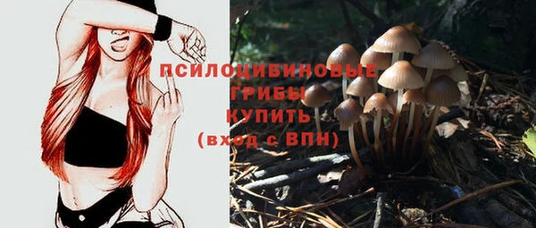 прущая мука Абдулино