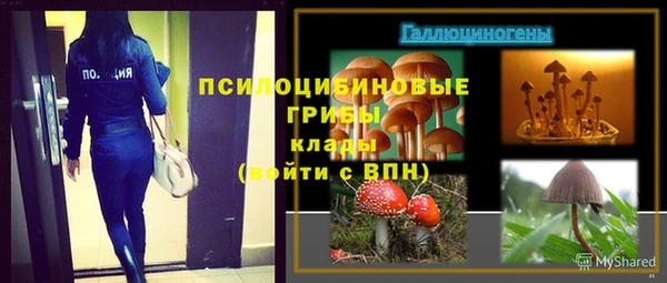 ALPHA-PVP Абинск