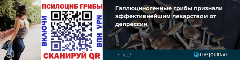 Псилоцибиновые грибы Psilocybe  Химки 