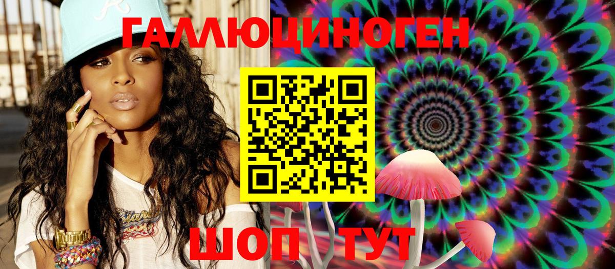 наркота  Псилоцибиновые грибы MAGIC MUSHROOMS  Вход с VPN  Химки  Псилоцибиновые грибы Psilocybine cubensis 